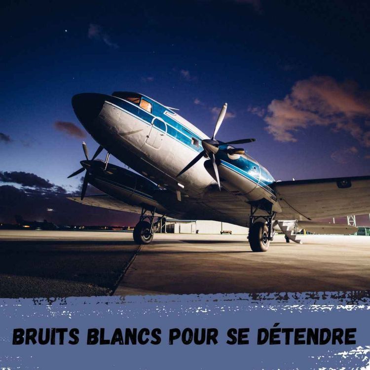 cover art for 2h - Avion à hélices / Propeller plane