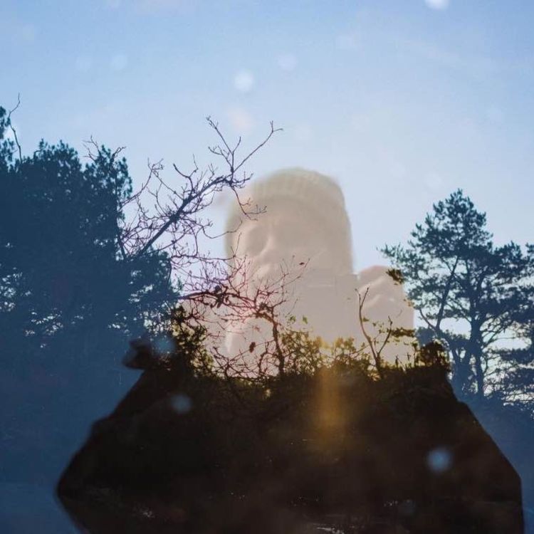 cover art for Camille Wodling ~ Rendre le monde beau