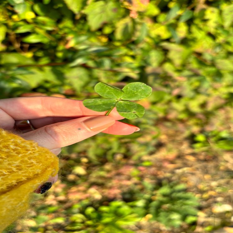 cover art for Poser ses intentions pour 2025