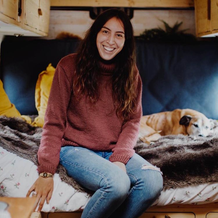 cover art for Luce ~ Le Van Migrateur 