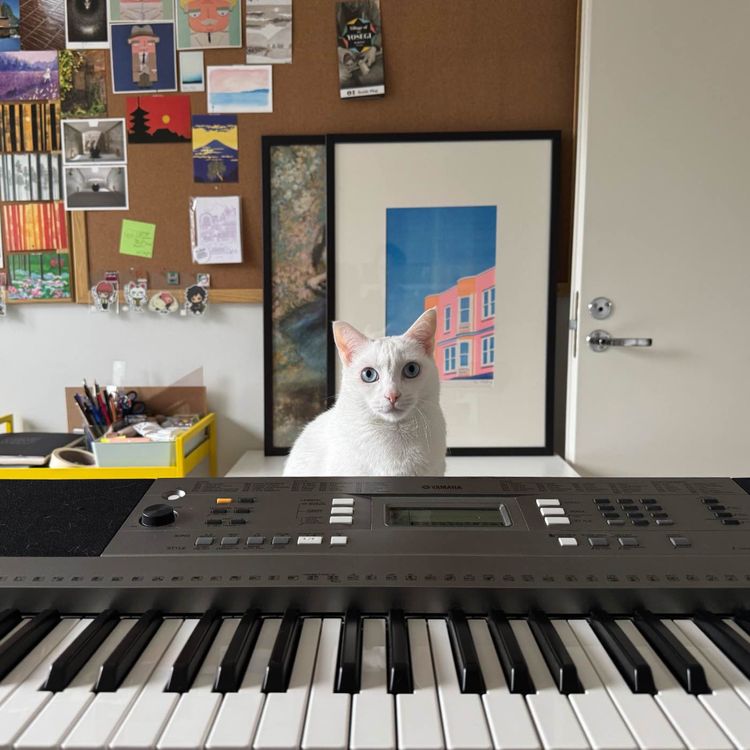 cover art for Art is a painful need – with Rute Morais Peixoto