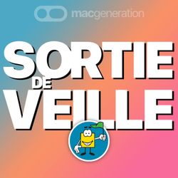 cover art for Sortie de veille