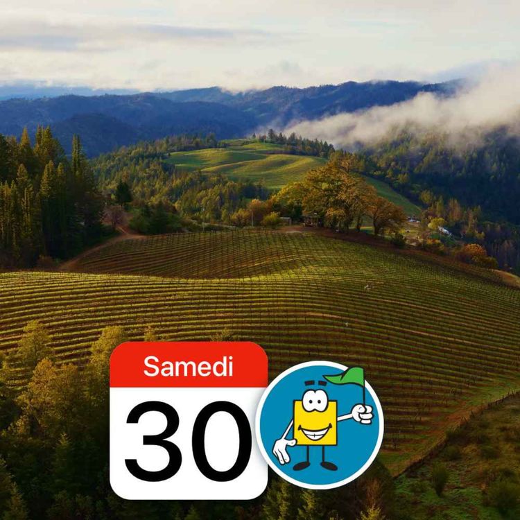 cover art for macOS Sonoma, un grand cru ou une piquette ?