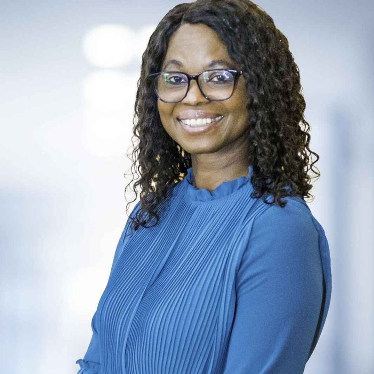 cover art for A more excellent way