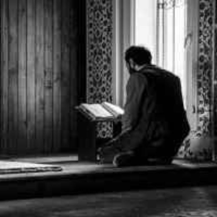 cover art for Mealli Hatim 1. Cüz