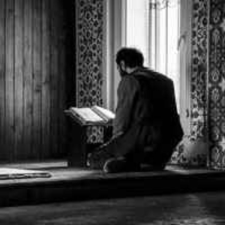 cover art for Mealli Hatim 2. Cüz