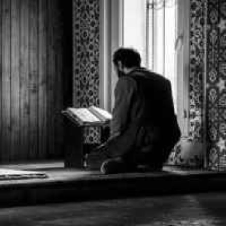 cover art for Mealli Hatim 3. Cüz