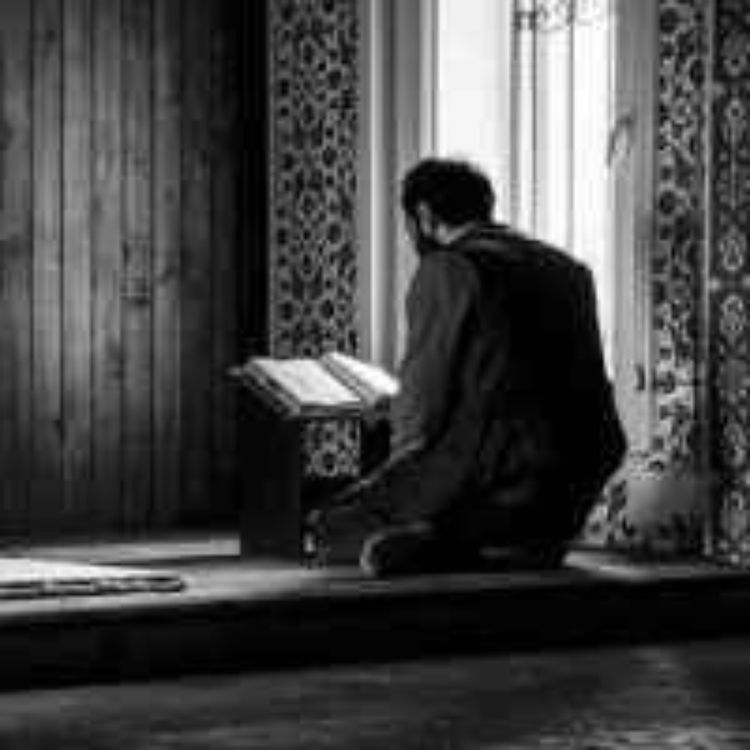 cover art for Mealli Hatim 21. Cüz