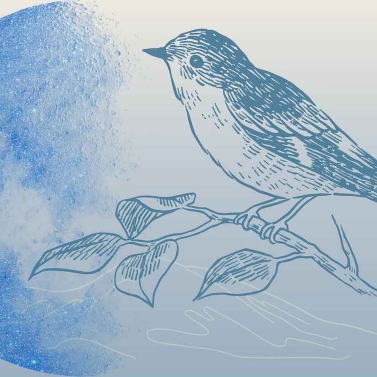 cover art for Pascal a fait de son jardin un paradis de biodiversité