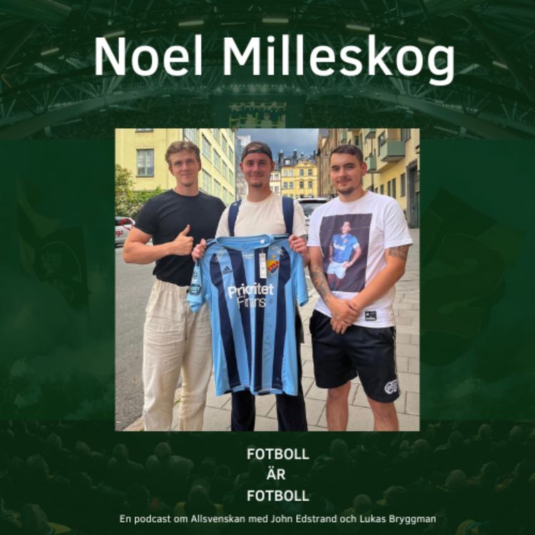 cover art for 19. Noel Milleskog