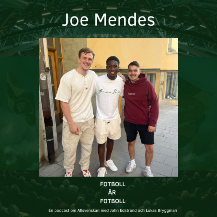 cover art for 66. Joe Mendes