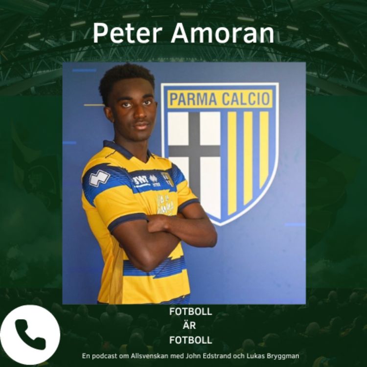 cover art for 80. Peter Amoran