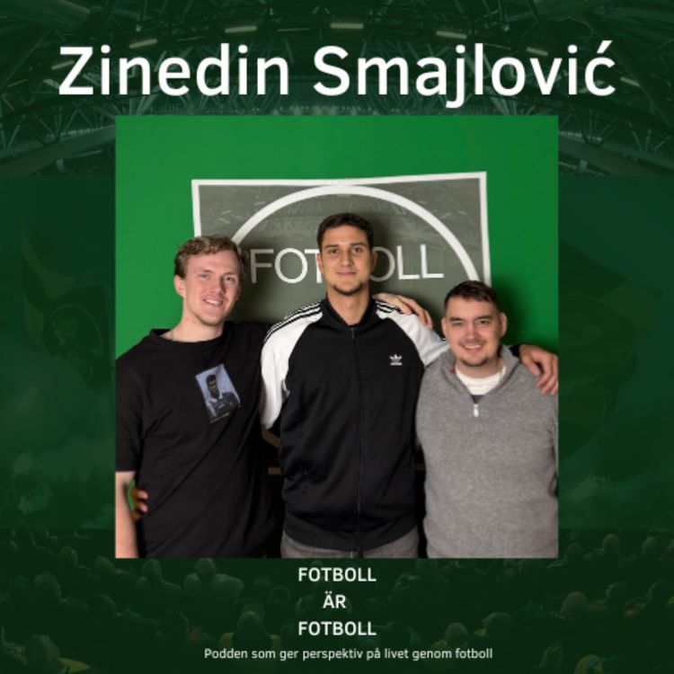 cover art for 111. Zinedin Smajlović