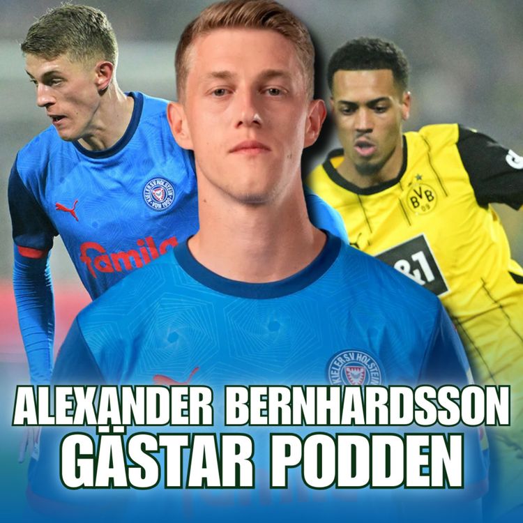 cover art for 132. Alexander Bernhardsson