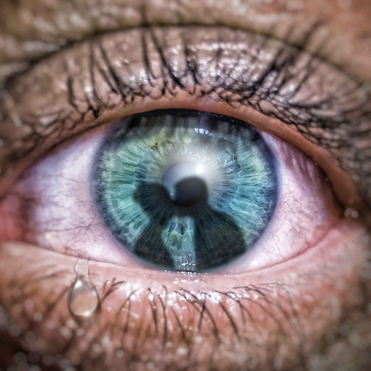 cover art for Celotipia 