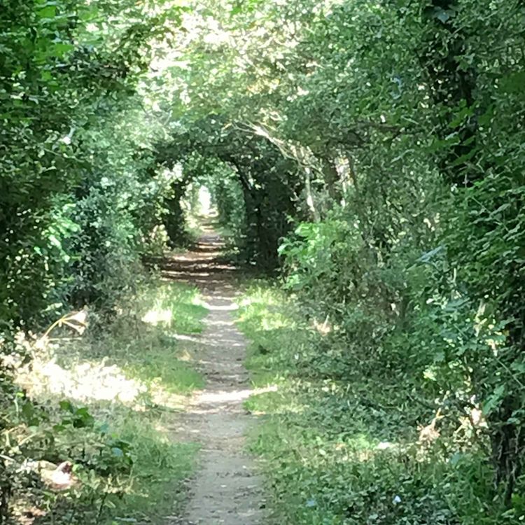 cover art for 8. c. Ejercicio 1