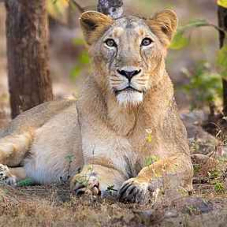 cover art for 10. c. Ejercicio 1