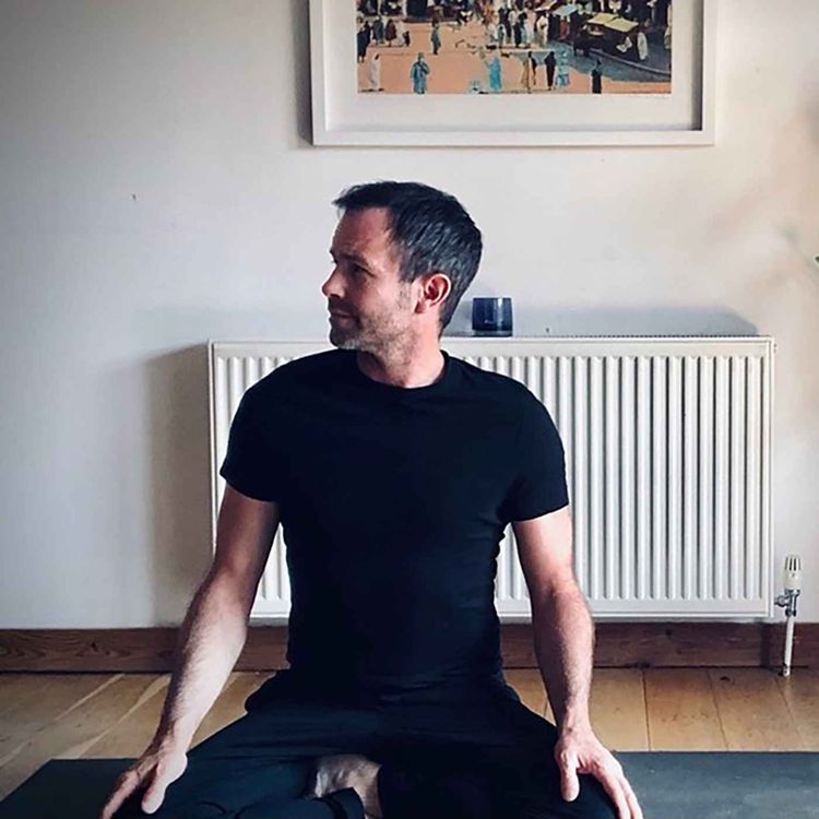 cover art for This Is How Ashtanga Works - Scott Johnson