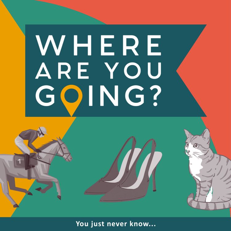 cover art for Brighton beach, some stilettos and a cat