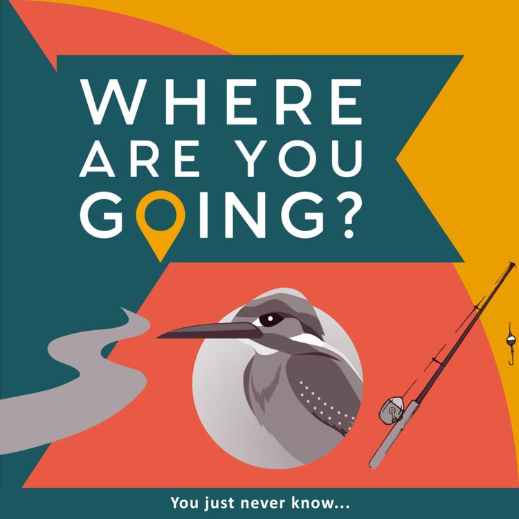 cover art for The River Cam, a kingfisher and a fishing rod 