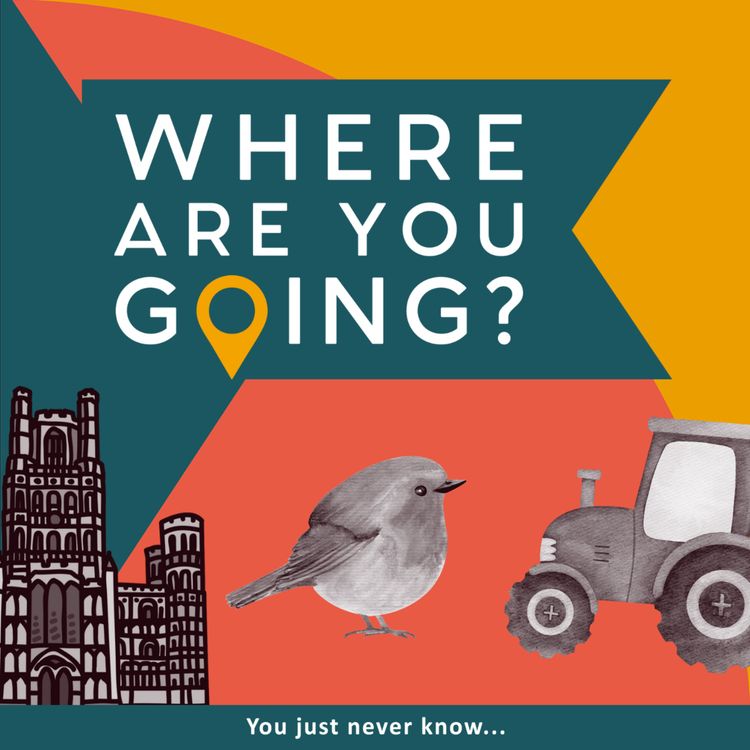cover art for Ely Cathedral, a robin and a tractor