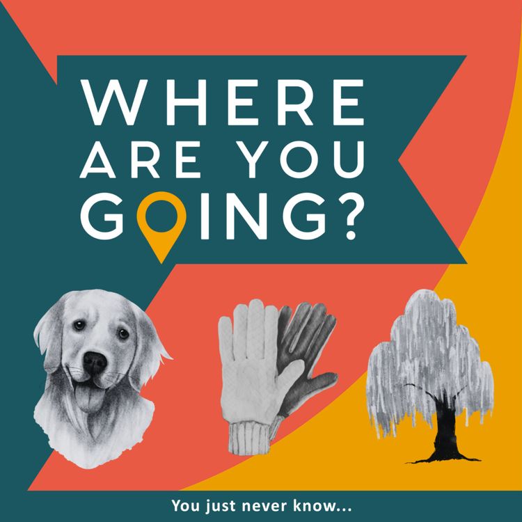 cover art for The Mill Pond Cambridge , a bike and a retriever