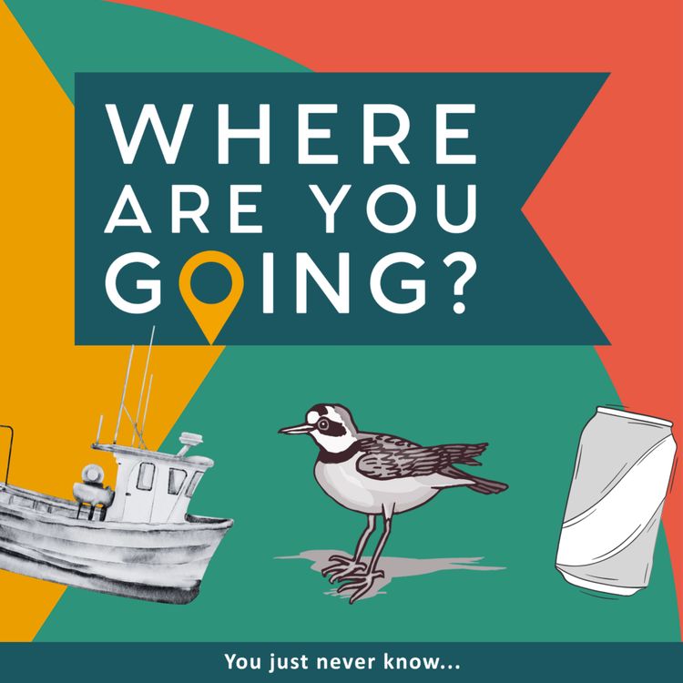 cover art for Cardiff harbour, a performance and cigarette break 