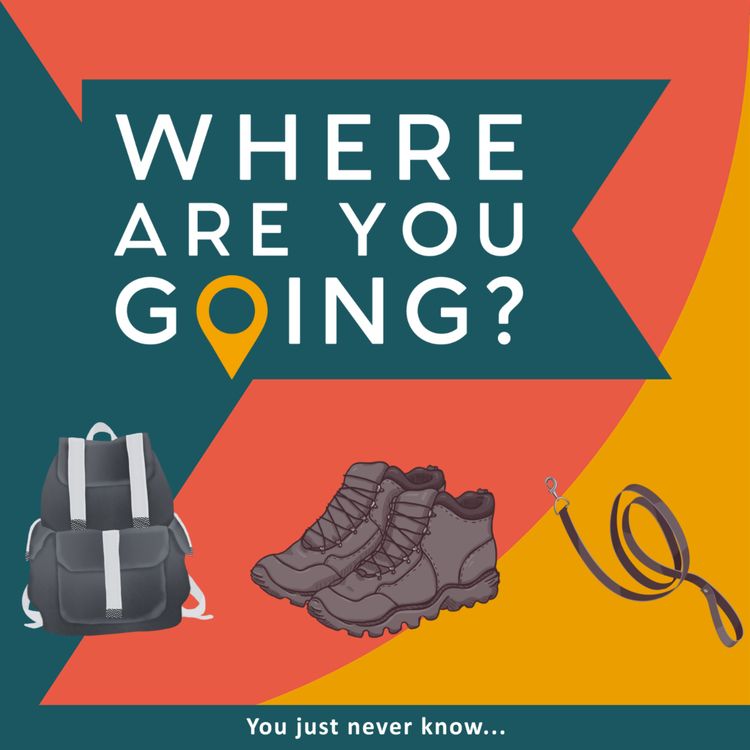 cover art for A Devon footpath, a rucksack and dog lead