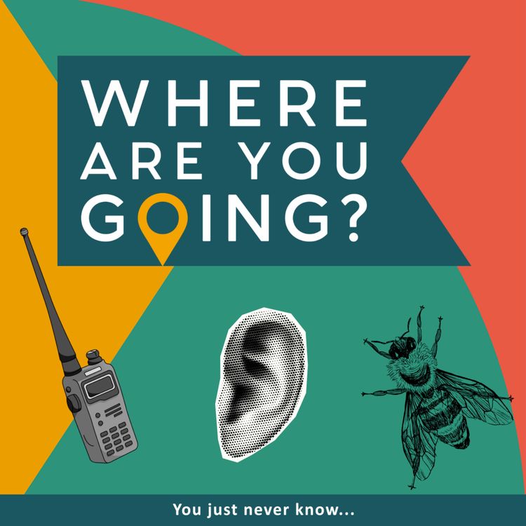 cover art for A walkie talkie. some bees and a thirsty dog