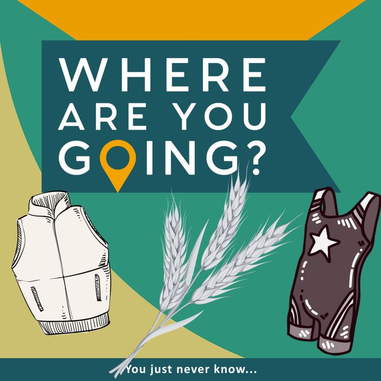 cover art for Countryside fashion