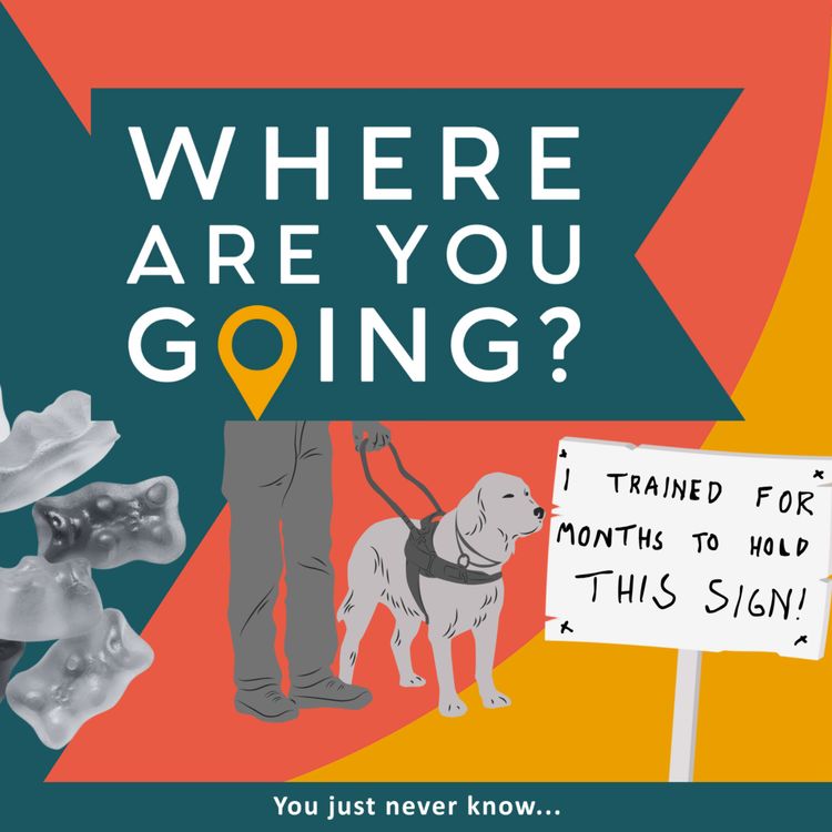 cover art for Jelly babies, a sign and a guide dog