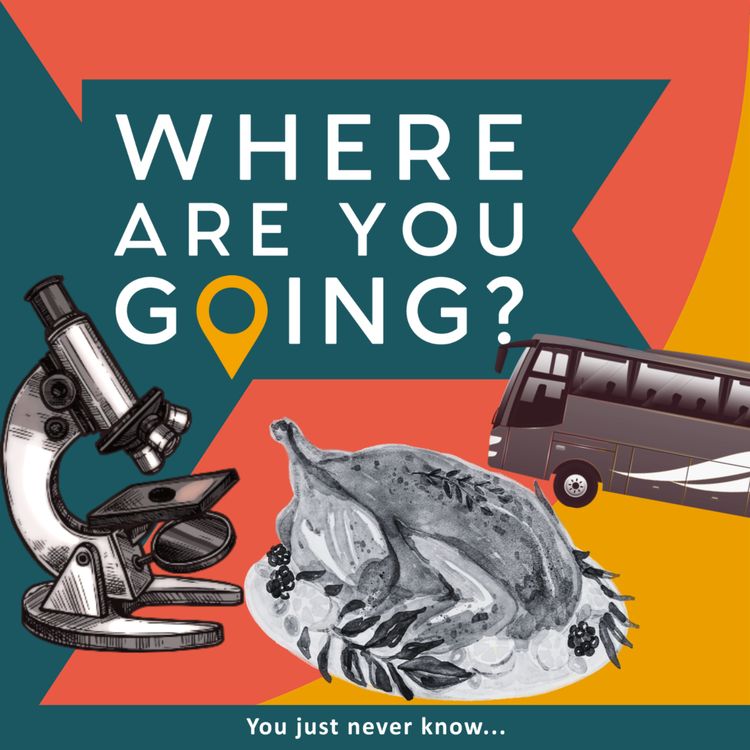 cover art for A scientist, some tinsel and a turkey