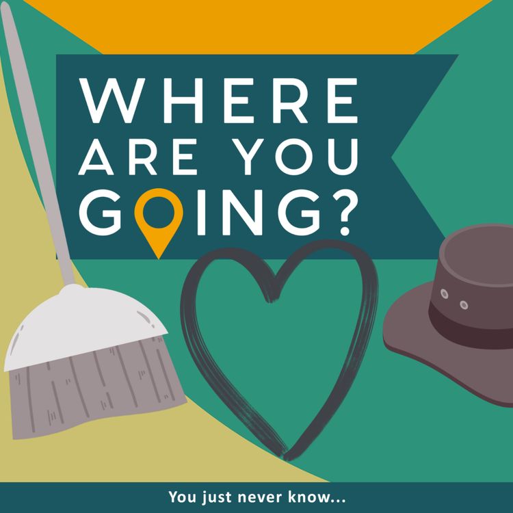 cover art for A broom, a bush hat and a love story