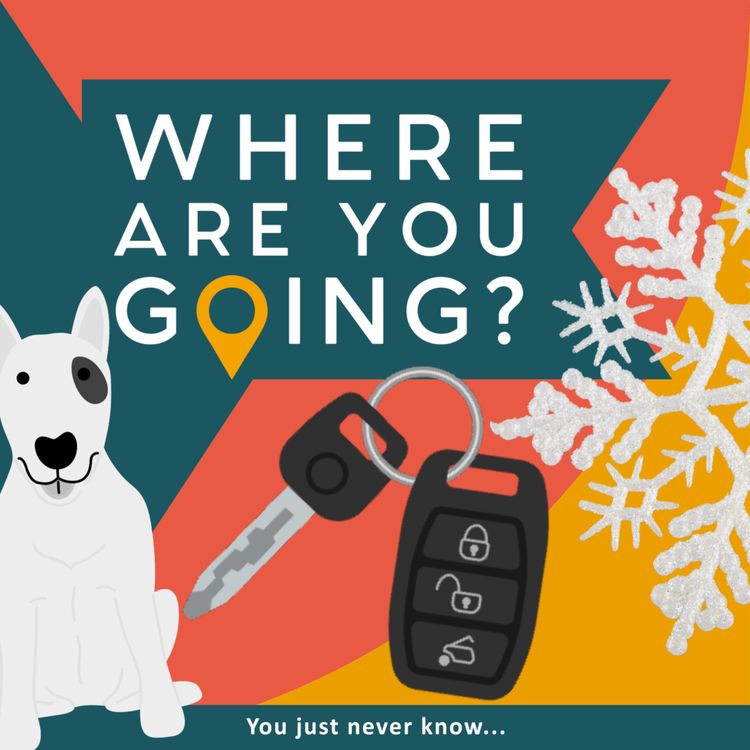 cover art for A Frozen Lock, Snow and a Bull Terrier