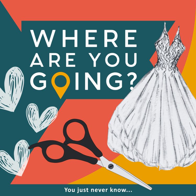 cover art for A ballgown, a hairdresser and a love story