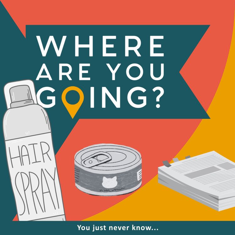 cover art for Cat Food, Legal Papers and Hairspray