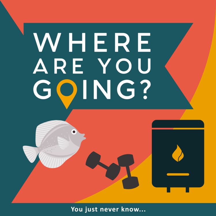 cover art for A Boiler, a Gym and an Aquarium