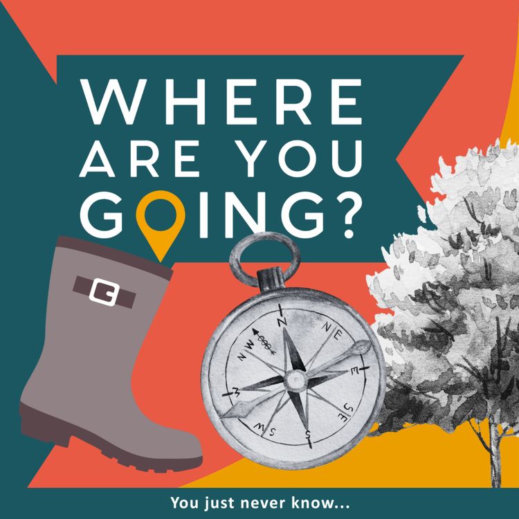 cover art for A Geocache, Red Boots and a Tree