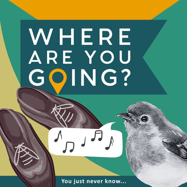 cover art for Polished Shoes, a Song and a Robin.