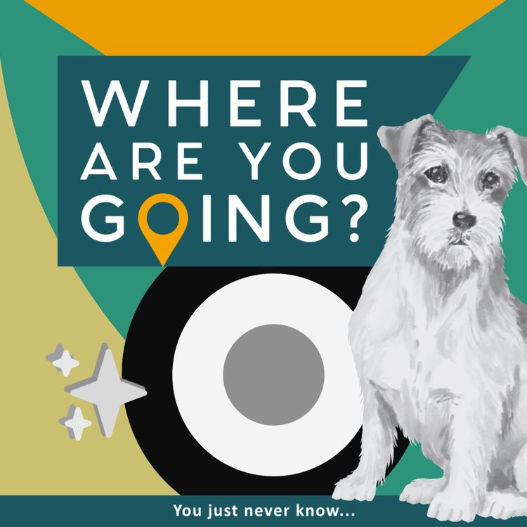 cover art for A Dog, the Air Force and AI