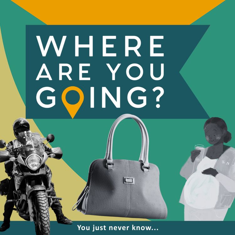 cover art for Luxury Bags, a Baby + a Motorbike