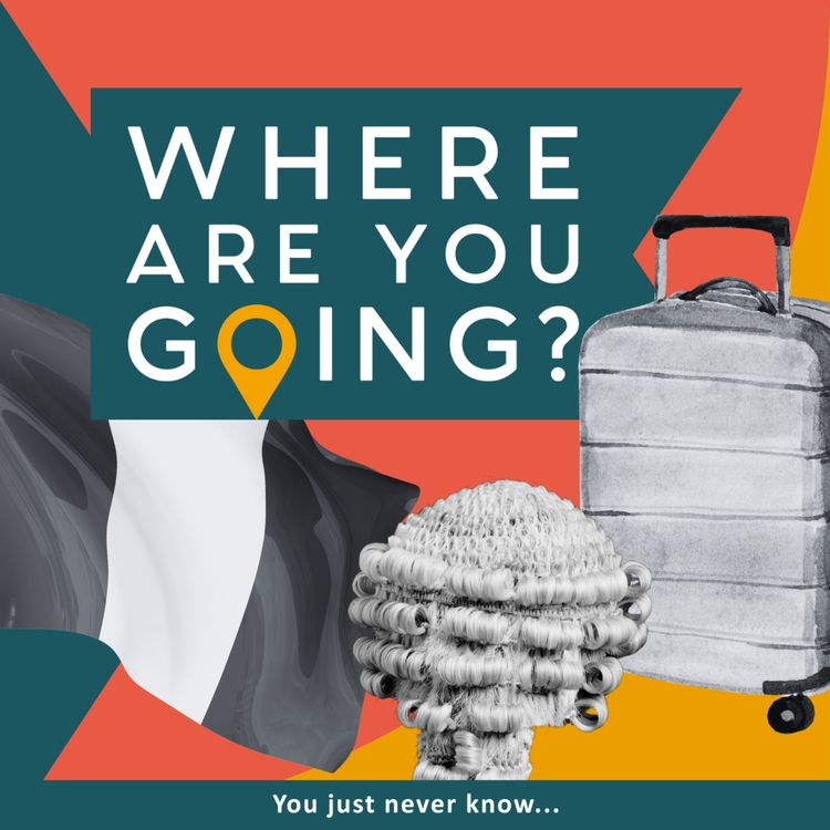 cover art for Three Suitcases, a Lawyer and some ambition
