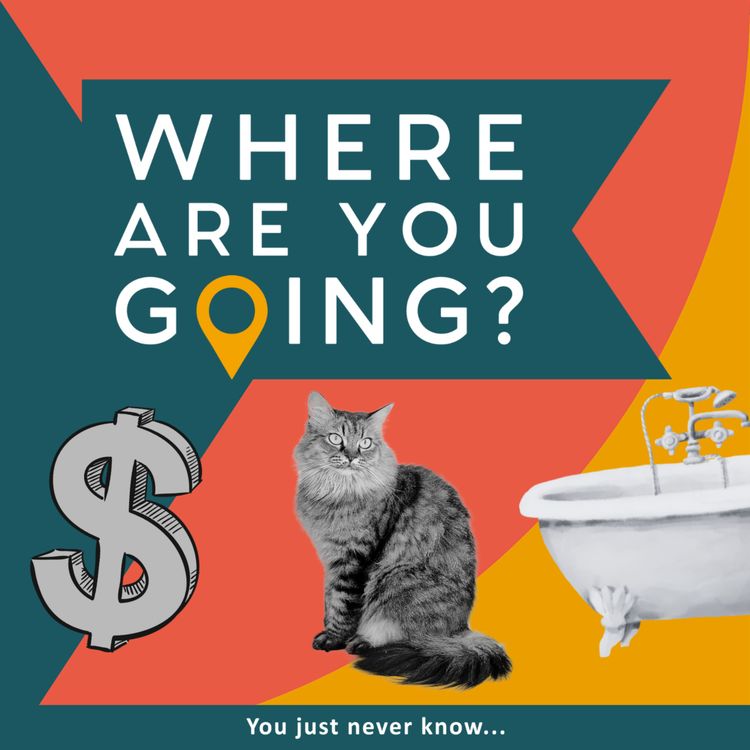 cover art for A Bath, a Cat and Billions of Dollars