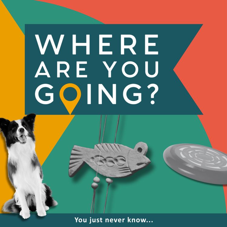 cover art for A frisbee, some biscuits and a collie dog