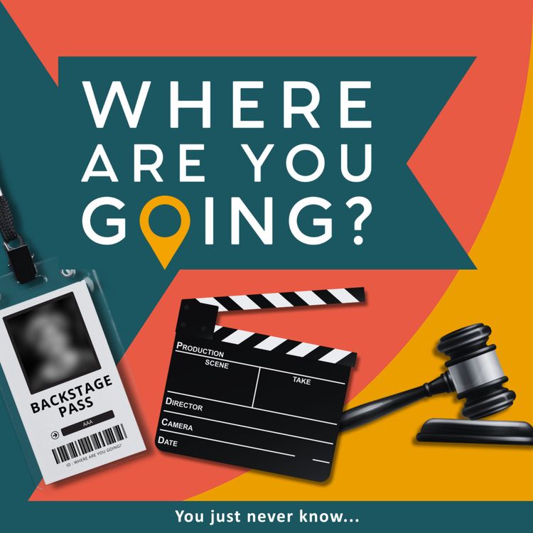 cover art for A Bollywood movie, backstage access and studying the law