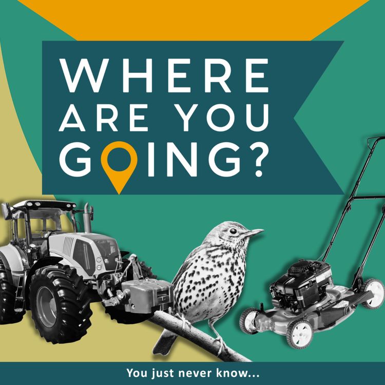 cover art for A tractor a lawn mower and a song thrush