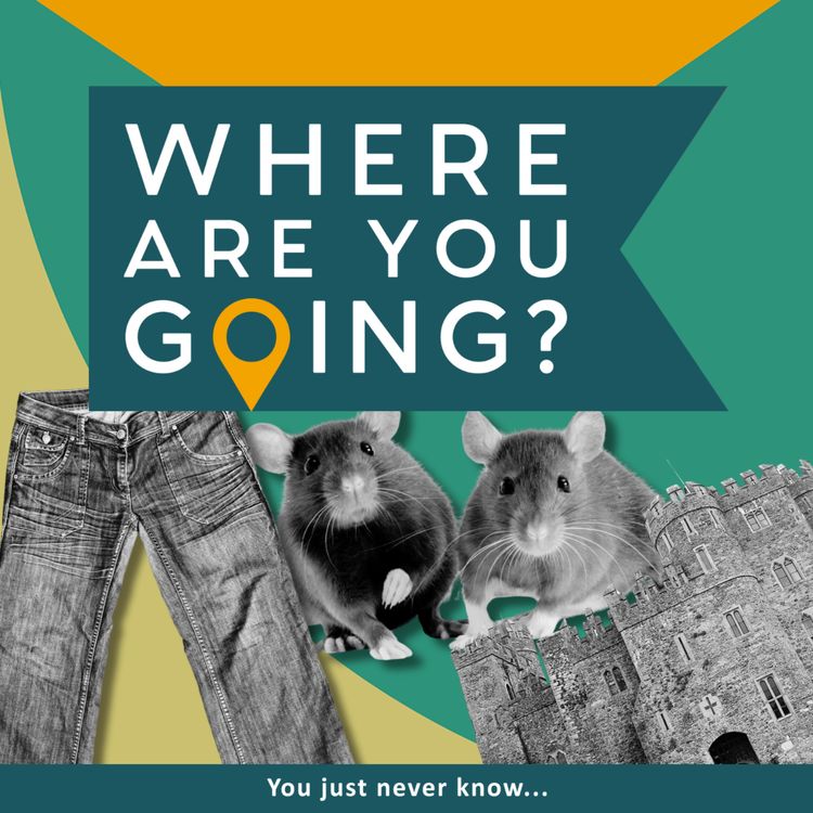 cover art for A beer, a rat and pair of jeans