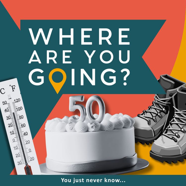 cover art for A birthday, a walk and two friends