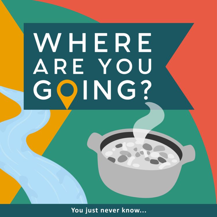 cover art for A delivery, a stream and a very precise walk.