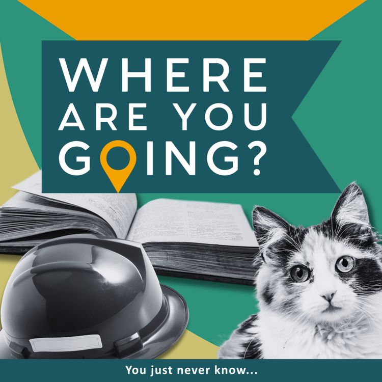 cover art for A cat, some books and fire.